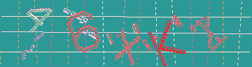 確認代碼