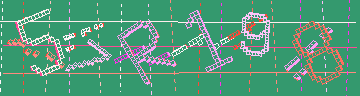 確認代碼
