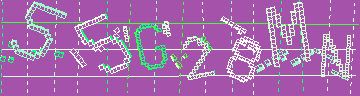 確認代碼