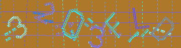 確認代碼