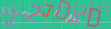 確認代碼