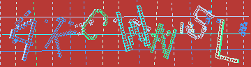 確認代碼
