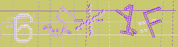 確認代碼