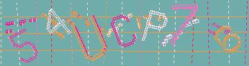確認代碼