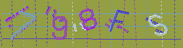 確認代碼