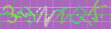 確認代碼
