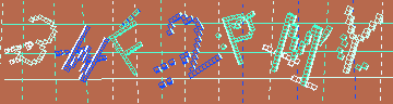 確認代碼