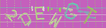 確認代碼
