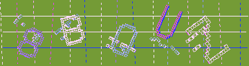 確認代碼