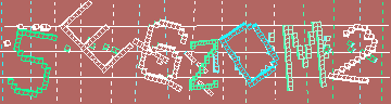 確認代碼