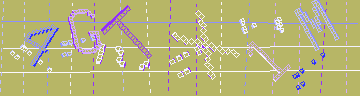 確認代碼