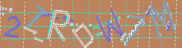 確認代碼