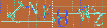確認代碼