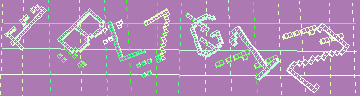 確認代碼