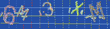 確認代碼