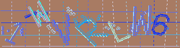 確認代碼