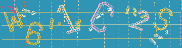 確認代碼