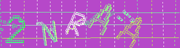 確認代碼