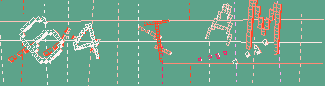 確認代碼