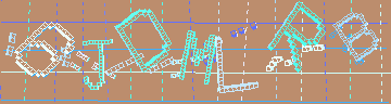確認代碼