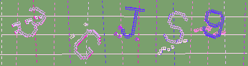 確認代碼
