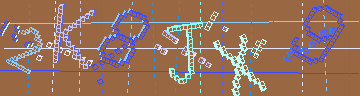 確認代碼