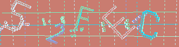 確認代碼