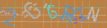 確認代碼