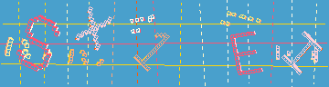 確認代碼