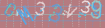 確認代碼