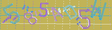 確認代碼