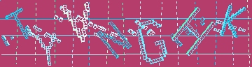 確認代碼