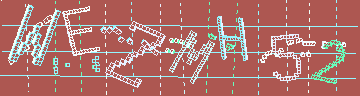 確認代碼