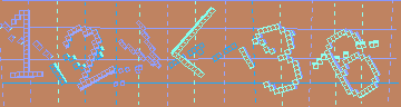 確認代碼