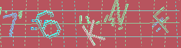 確認代碼