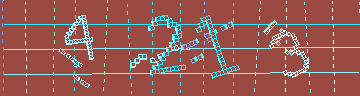 確認代碼