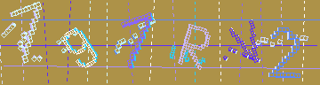 確認代碼