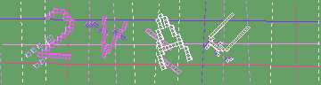 確認代碼