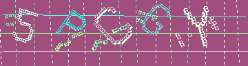 確認代碼