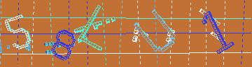 確認代碼