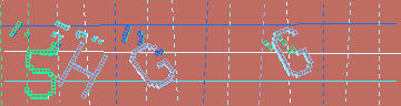 確認代碼