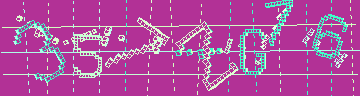 確認代碼