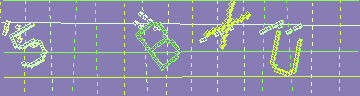 確認代碼