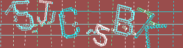 確認代碼