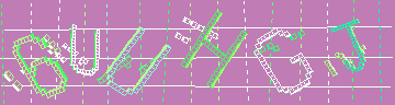 確認代碼