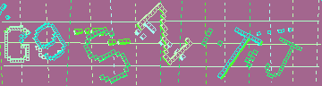 確認代碼