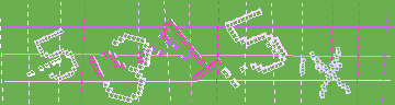 確認代碼