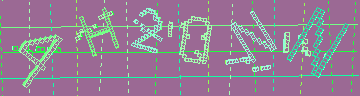 確認代碼