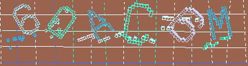 確認代碼