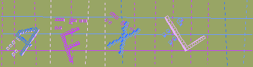 確認代碼
